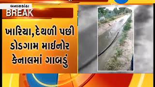 Banaskantha: Narmada canal broke out at 3 places in a day | Zee 24 Kalak