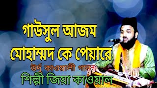 গাউসুল আজম মোহাম্মদ কে পেয়ারে। উর্দু কাওয়ালী গান। শিল্পী জিয়া কাওয়াল MS mamun Call 01879-905814