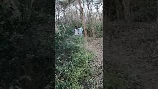 #viral Naugarh ka jungle #वीडियो #suraj