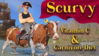 Scurvy and Vitamin C CARNIVORE DIET