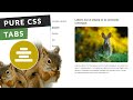 How to Create Pure CSS Vertical Tabs with Indicator (Step by Step)