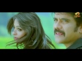 Nesthama Nesthama Song Damarukam Movie Video Songs Nagarjuna Anushka DSP Mango Music
