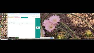 Creating TFAR Testing Session
