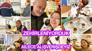 İYİ Kİ ALMIŞIM‼️DOĞRU TERCİH‼️ZEHİRLENİYORDUK‼️GELEN VİDEO BİZİ ŞOK ETTİ‼️ALIŞVERİŞ GÜNÜ🥰SEFO GELDİ🐶