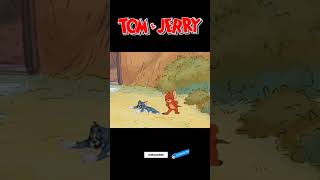 😂😂😂 tom & jerry 🐱🐭#tomandjerry #cartoon #shorts