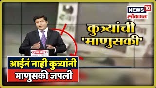 आईनं नाही कुत्र्यांनी माणुसकी जपली | 22 July 2019