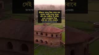 🔹দাদা মাণিবেগত কোন এইজনীৰ ভণ্টিজনী আজিকালি ক’ত?