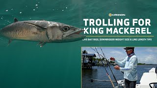 Trolling for King Mackerel: Live Bait Rigs \u0026 Downrigger Tips