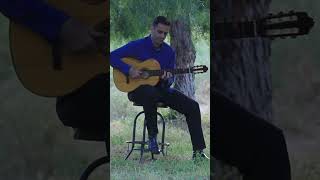 Delicada Farruca Sabicas Performed by Amir M. #flamencoguitar #flamencoguitarist #guitarsolo