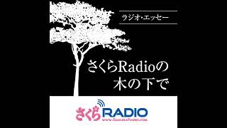 NYでのルームシェアの筈が、ここは簡易宿泊所か？：EP12ラジオ・エッセー さくらRadioの木の下で