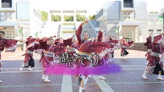 藍なり　たまよさこい 2023　大通り会場　2023年7月23日（日）