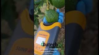 H 100C Avocado DM Meter in Colombia