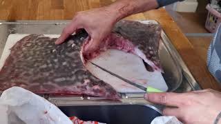 Sea Fishing | How To Prepare, Skin and Fillet a Skate (Thornback Ray)