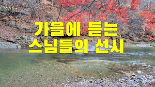 🍂 가을에읽는스님들의선시  #서산대사                   # 진각혜심