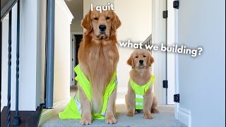 We're Ready to Work