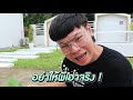 แผนร้าย...ไม้ด่างปลอม