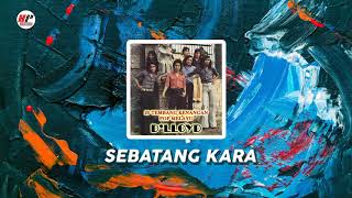 D'lloyd - Sebatang Kara (Official Audio)