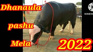 Dhanaula Pashu Mela |  ਧਨੌਲਾ ਪਸ਼ੂ ਮੇਲਾ @allrounder85500