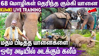 பாகன் - யானைக்குமான உறவு | 68 மொழி வார்த்த தெரியும் Story of Kaleem Elephant \u0026 Instructor #elephant