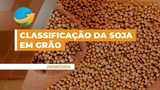 Aprosoja Brasil cobra publicação de nova Instrução Normativa para classificação da soja em grão