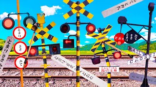 【踏切アニメ】日本語の注意書きに興味津々なふみきりカンカン😂😂😂The Railroad Crossing Curious About Japanese Warning Signs