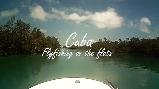 Cuba - Flyfishing on the flats - Huge Permit