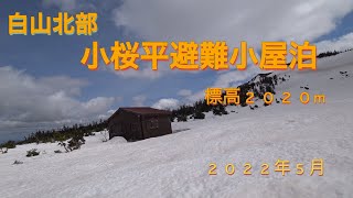 白山北部　楽々新道からの小桜平避難小屋泊まり 標高２０２０m