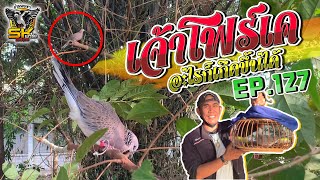 ต่อนกเขาใหญ่ | เจ้าโฟร์เค | อะไรก็เกิดขึ้นได้ EP.127