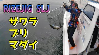 【SLJ】6月の宮島裏❗ライズジグ縛りで狙うサワラ・ハマチ・マダイ‼️広島スーパーライトジギング❗Let's go fishing in Hiroshima Miyajima🎣🇯🇵