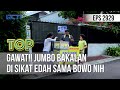 Gawat!! Jumbo Bakalan Di Sikat Edah Sama Bowo Nih - TUKANG OJEK PENGKOLAN