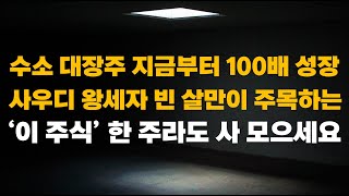 [주식] 수소 대장주 지금부터 100배 성장! 사우디 왕세자 빈 살만이 주목하는 '이 주식' 한 주라도 사 모으세요[2차전지관련주, 2차전지주식전망, 엘앤에프,에코프로비엠주가전망]