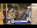 Mga senior citizen na wala pa maski isang dose ng bakuna kontra COVID, layon maturukan... | 24 Oras