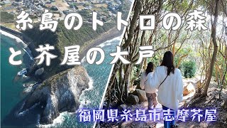 糸島トトロの森と芥屋ノ大門