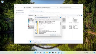 How to Fix MFPlat.Dll Missing on Windows 11 [Solution]