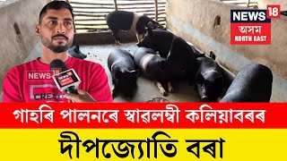 Kaliabor News। গাহৰি পালনেৰে দীপজ্যোতি বৰাই বছৰি  উপাৰ্জন কৰে ৫ লাখ টকা। N18V