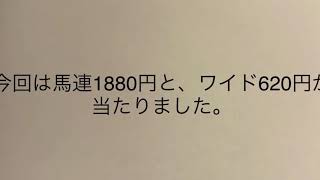 2020年12月13日　JRA 中央競馬　阪神3レース　未勝利戦　オッズだけで当てる　的中　馬券