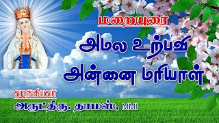 மறையுரை | அமல உற்பவி அன்னை மரியாள் | அருட்திரு.தாமஸ், MMI