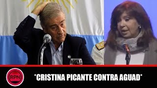 Cristina opinó sobre las declaraciones de Aguad sobre Aldo Rico