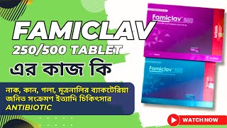 Famiclav 500 এর কাজ কি | ফুসফুস , ত্বক, কানের মধ্যবর্তী জায়গা, সাইনাস, মূত্রনালীর সংক্রমণের চিকিৎসা