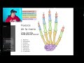 anatomia radiologica por tc y rx extremidades sup e inf ☢💀 live desde el aula 👨‍🏫🥼