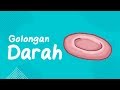 Perbedaan Golongan Darah ABO, Rh, & Hemolytic Disease of the Newborn | #BelajarBareng