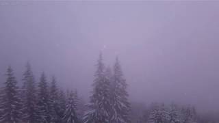 Light Snow Storm with Relaxing Sounds of Wind and Snow Falling Over the Forest - 4K Video - 10 Hours