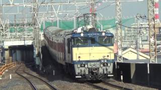 【115系高崎車長野配給廃車回送】  EF64-1031長岡車+115系9両(T1146+サハ115-1007+T1159)西浦和通過