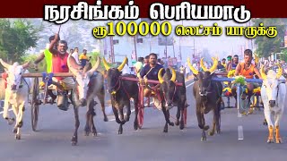 1 நரசிங்கம்-பெரியமாடு-பந்தயம்09.02.2025