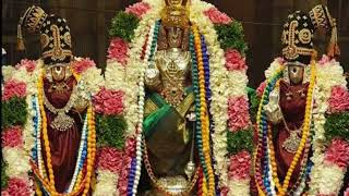 நவதிருப்பதி - 7, அருள்மிகு மகர நெடுங்குழைக்காதர் திருக்கோவில், தென் திருப்பேரை...