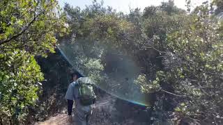 日帰り登山　雨乞山〜大山#1  愛知田原市渥美半島