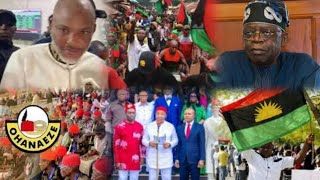 AGAIN!!😭 Ohanaeze Nidgbo Accuses Igbo Governors aOf Sabotaging Nnamdi kanu's FREEDOM, A MUST..