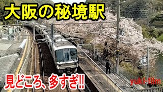 【大阪なのに秘境駅】魅力あふれる、すばらしい大阪の秘境駅。都心から30分弱、山間部にある小さな駅は、魅力の宝庫。世界最大規模の工事、日本唯一の珍しい鉄橋、珍しいトンネル、珍しい踏切、桜など。河内堅上駅