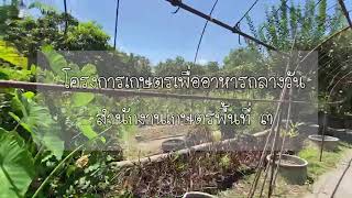 โครงการเกษตรเพื่ออาหารกลางวัน