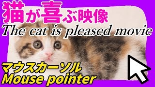 猫が喜ぶ動画【マウスカーソル】Videos that cats are pleased with【mouse pointer】